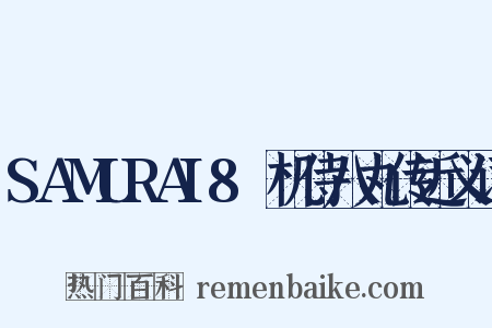 SAMURAI8～机侍八丸传近义词是什么意思的图片